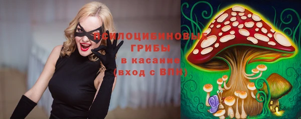 МДПВ Медвежьегорск