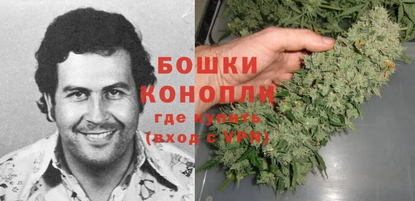 МДПВ Медвежьегорск