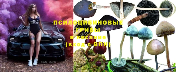 бутират Богородицк