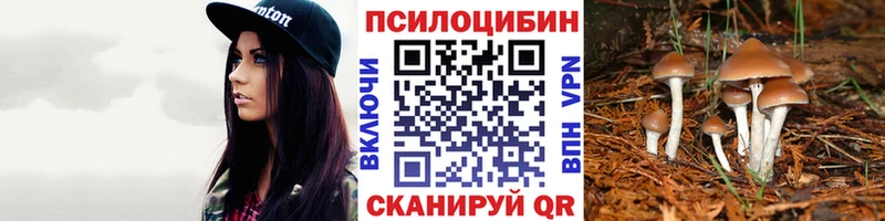 даркнет какой сайт  Болгар  Псилоцибиновые грибы MAGIC MUSHROOMS 